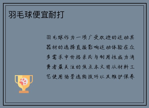羽毛球便宜耐打